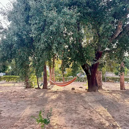 Balaia Gardens In Apartamento *