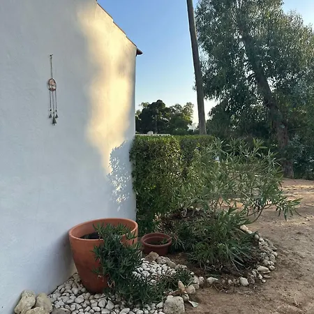 Balaia Gardens In Appartement *