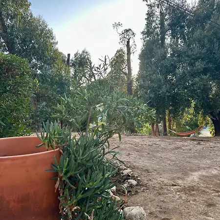 Balaia Gardens In Appartement