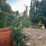 Balaia Gardens In Apartment